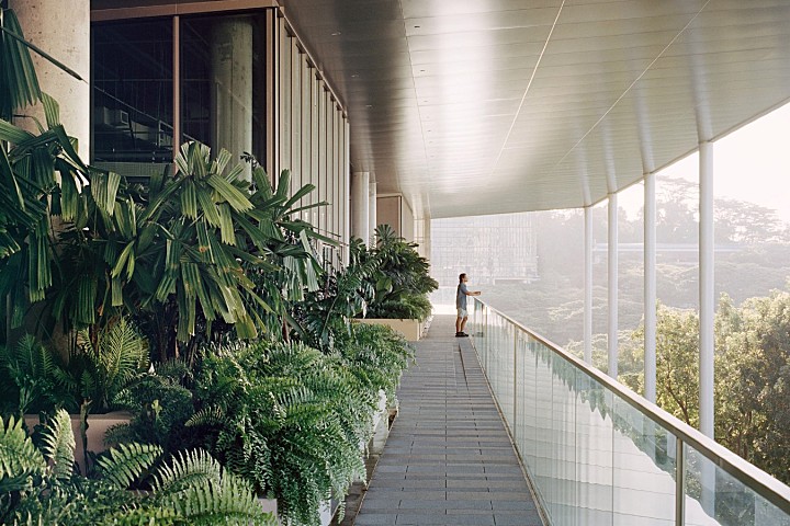 首发 | Serie Architects & Multiply 可持续设计的原型：新加坡国立大学SDE4大楼