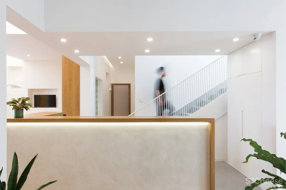 园艺接待中心室内设计 / 森上设计