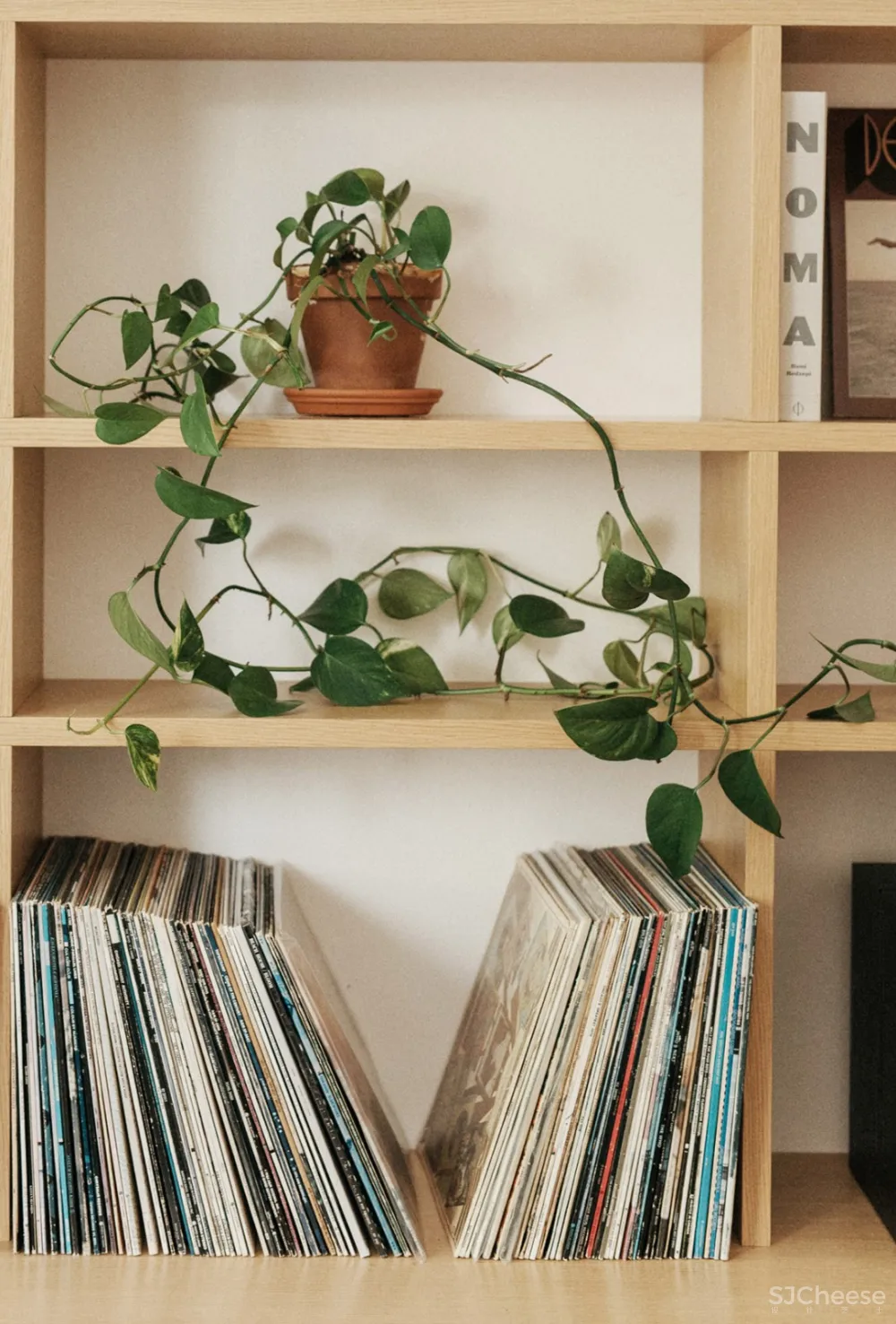 新作 | Campos Studio & Tom Chung Studio：为退休夫妇翻修的温哥华红豆杉屋