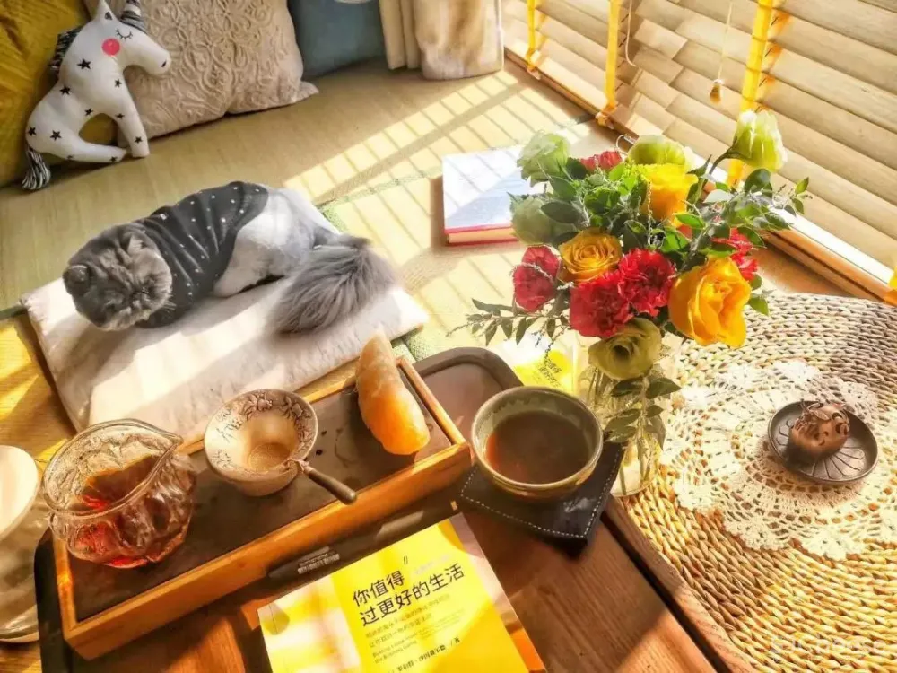 80万搞定260㎡别墅，度假风仙气来袭！屋主教你如何“装修理财”