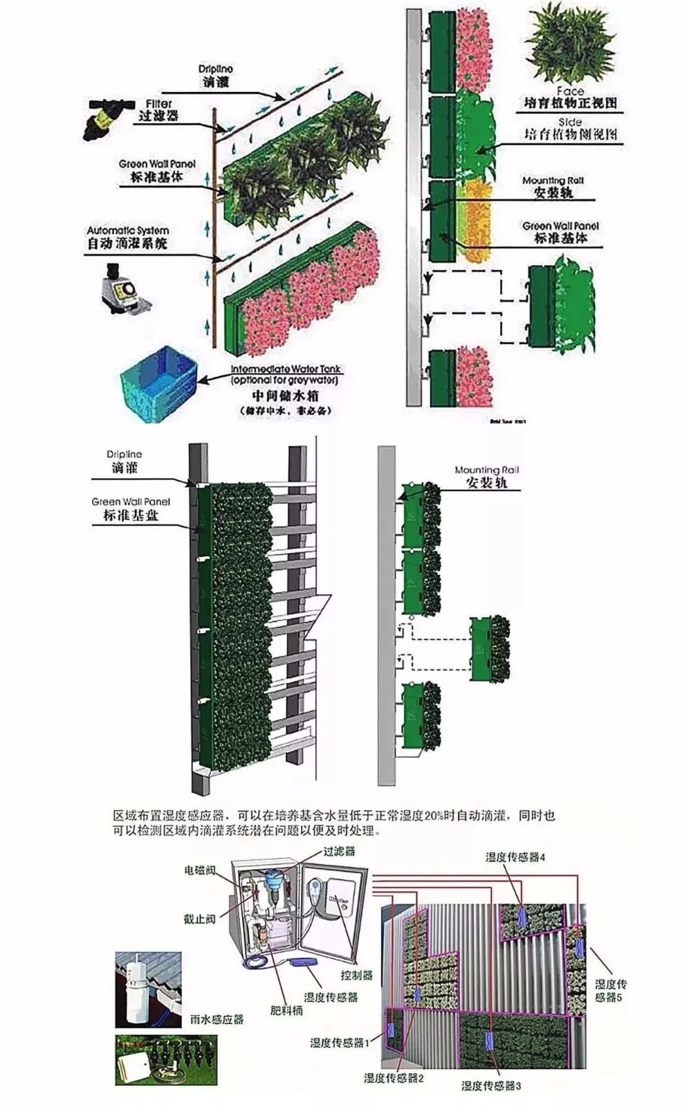 绿植长在墙上丨个性又省地方 首