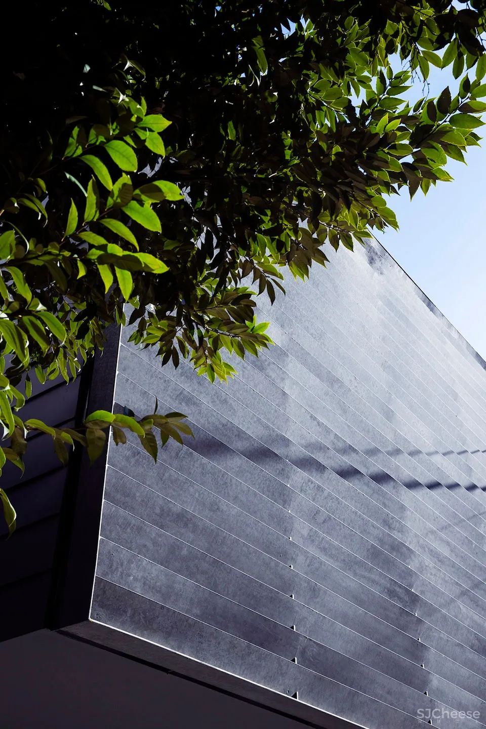 TRANE住宅,东京 / APOLLO