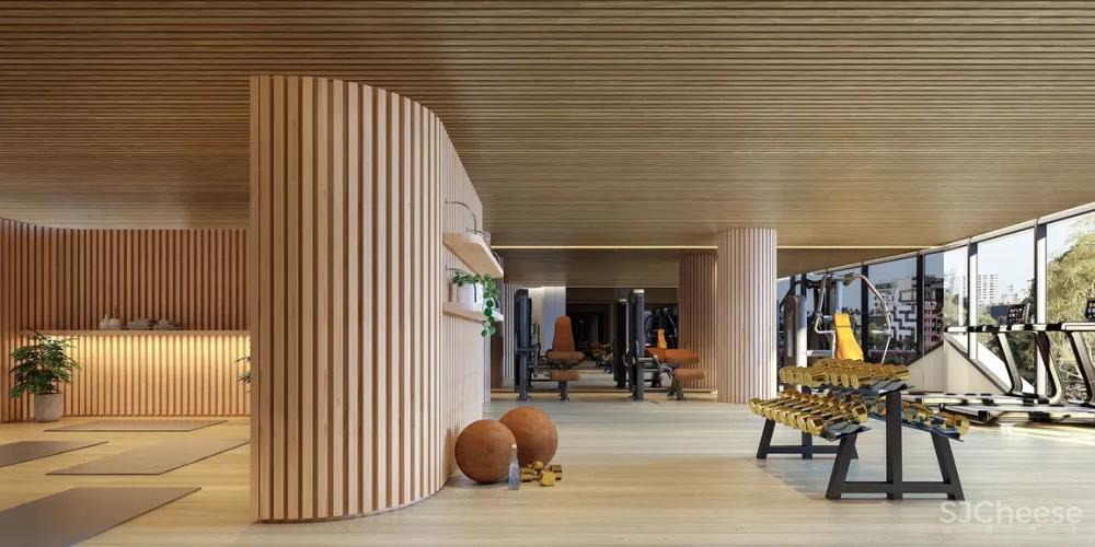 这种高水准的效果图，却是这种清新风！