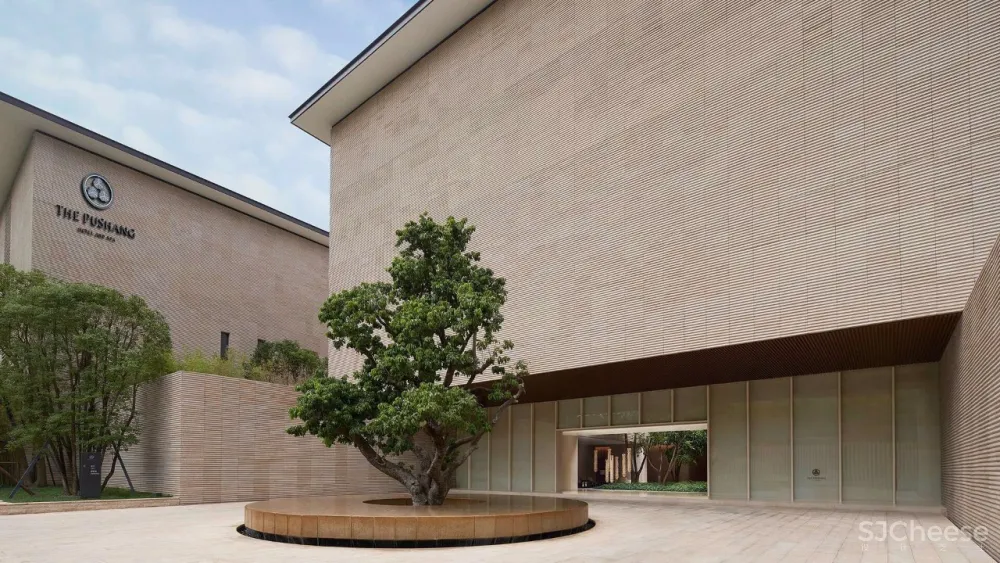 入住璞尚酒店/我终于体验到了真正的都会桃源/还打卡了厦门醉美日落