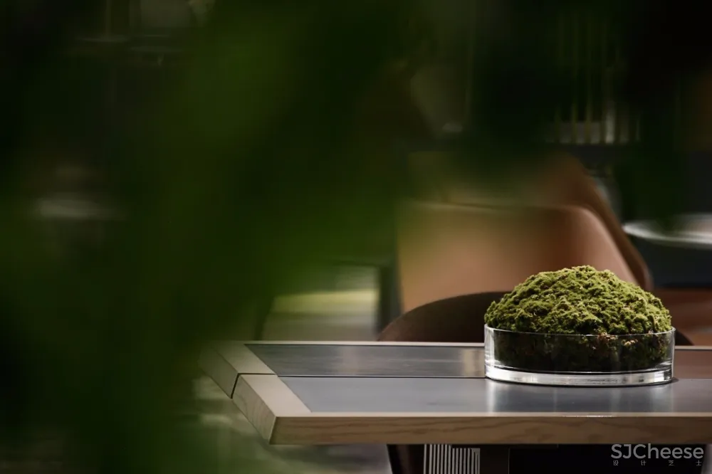 YuQiang & Partners | 云层之上,理想之境 首