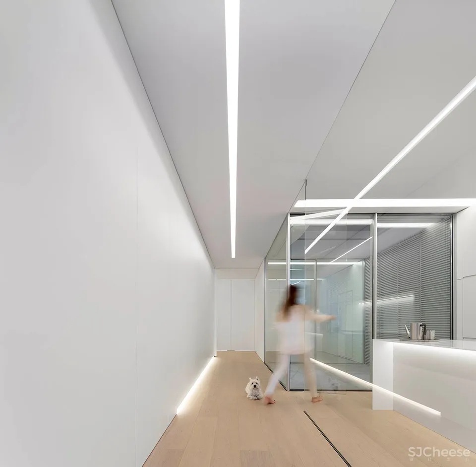蓝色花园住宅，西班牙 / Fran Silvestre Arquitectos 首