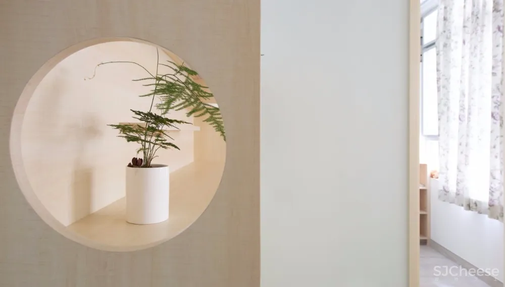 香港:三人+一猫+一鹦鹉=42平米的幸福生活