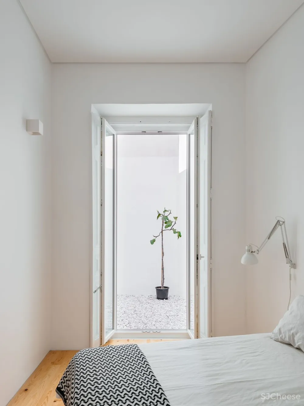 Filipe Foncesca Costa：里斯本拉帕公寓