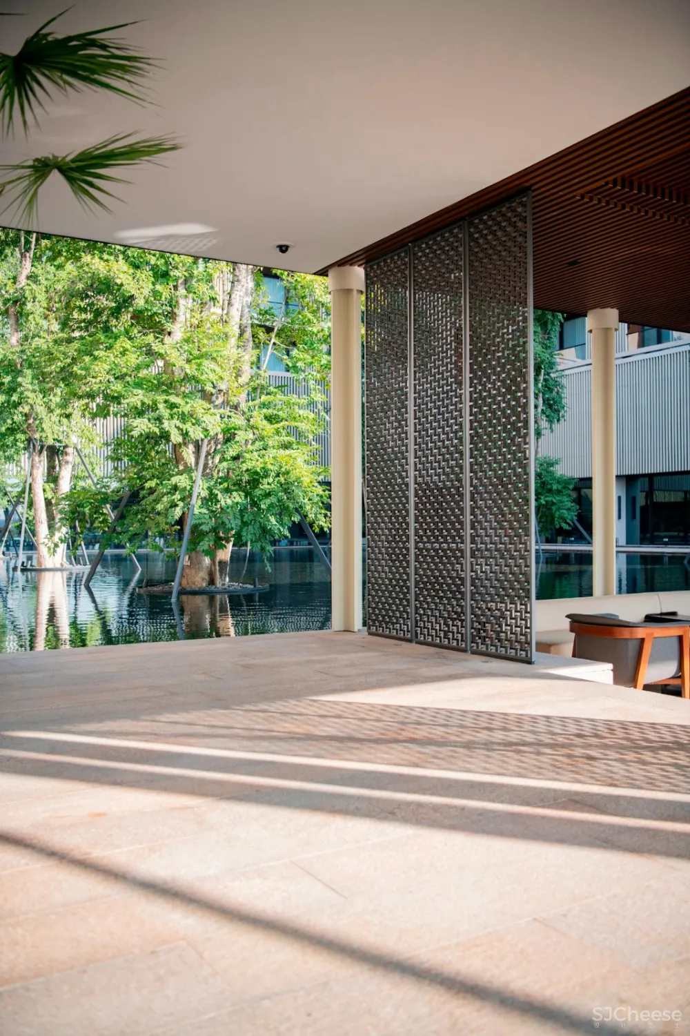 入住璞尚酒店/我终于体验到了真正的都会桃源/还打卡了厦门醉美日落