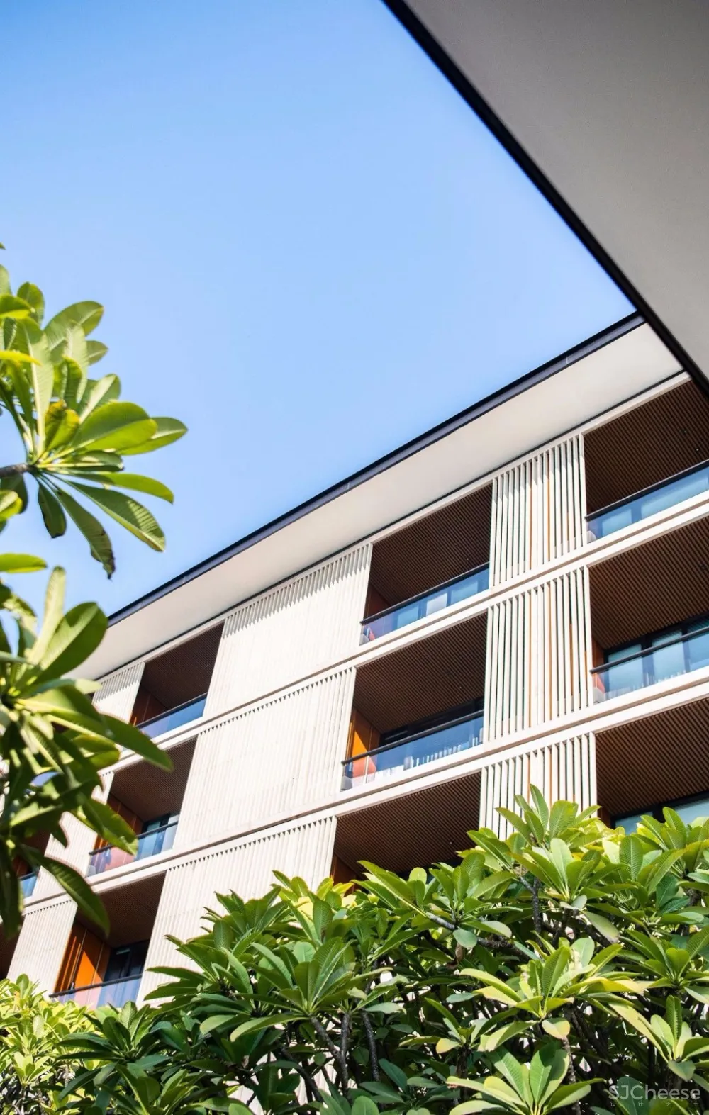 入住璞尚酒店/我终于体验到了真正的都会桃源/还打卡了厦门醉美日落