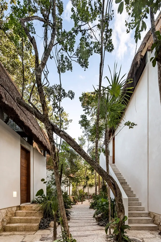 新作 | Jaque Studio:玛雅丛林的小型精品酒店Jungle Keva hotel