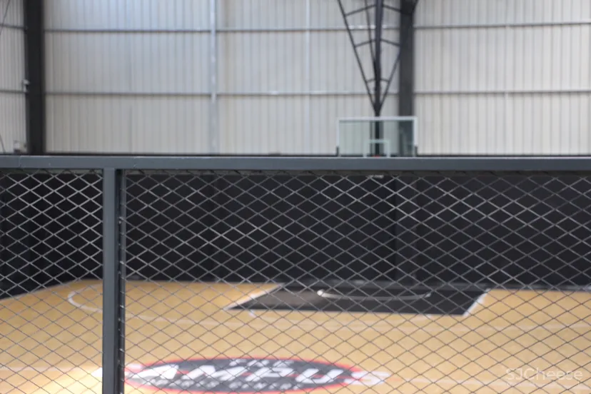 THE CAMPUS IN DONGGUAN