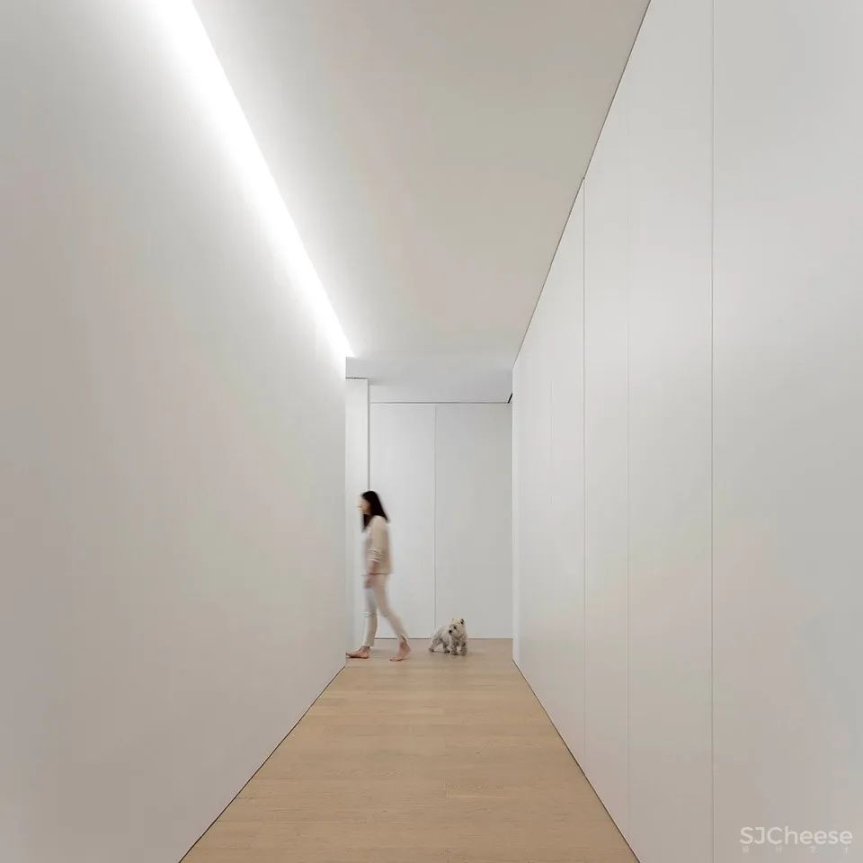 蓝色花园住宅，西班牙 / Fran Silvestre Arquitectos 首