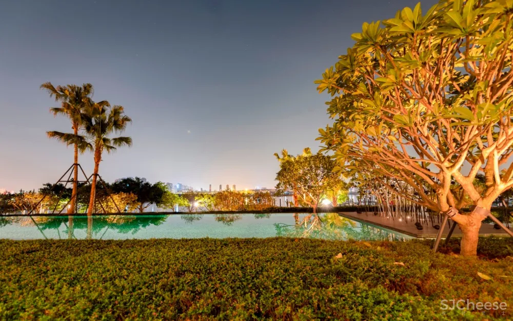 入住璞尚酒店/我终于体验到了真正的都会桃源/还打卡了厦门醉美日落