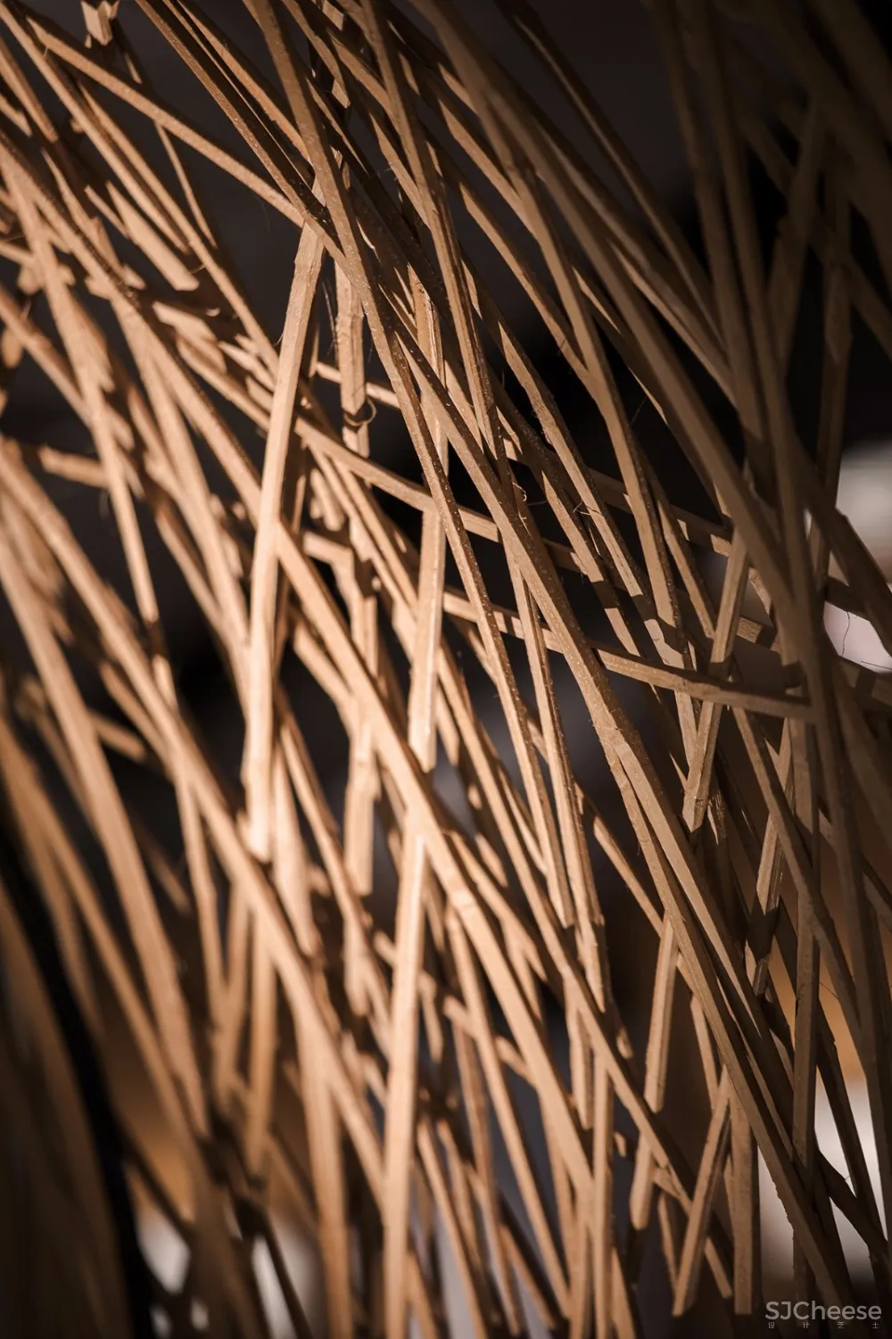 清风恰几许丨竹影入画来