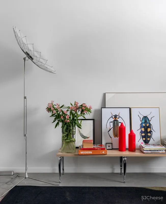 以“家庭美术馆”为主题的住宅设计 | Светлана Коледа 首