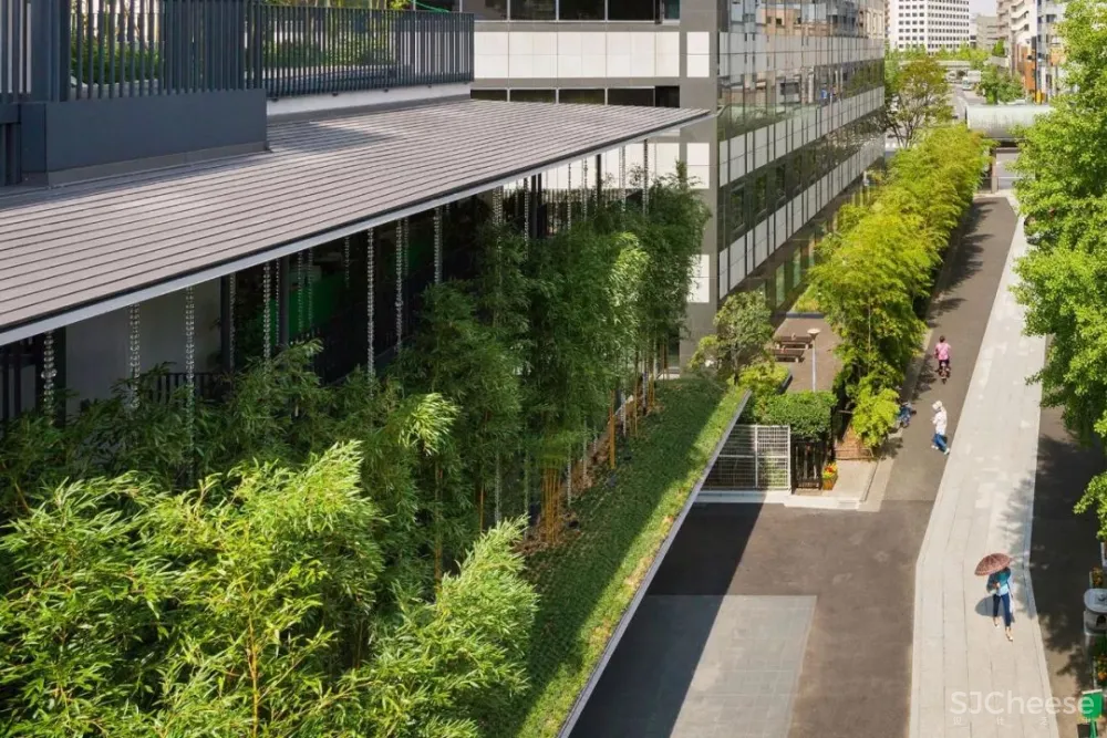 他在闹市中建了一个寺庙,用水晶做围墙,斩获设计大奖