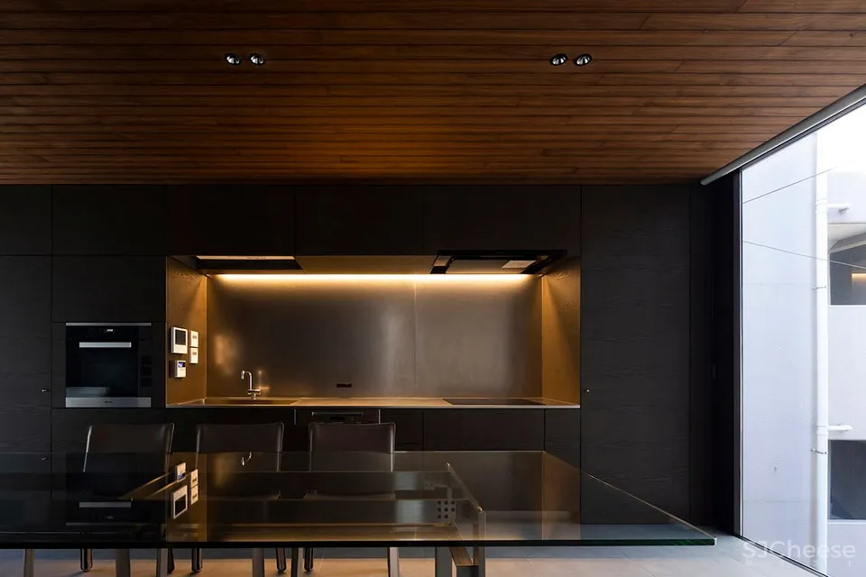 TRANE住宅,东京 / APOLLO