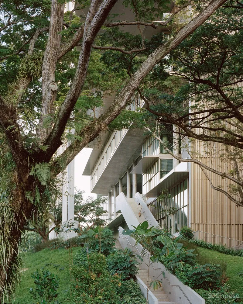 新作 | Serie Architects + Multiply Architects + Surbana Jurong：新加坡创新教育建筑SDE4