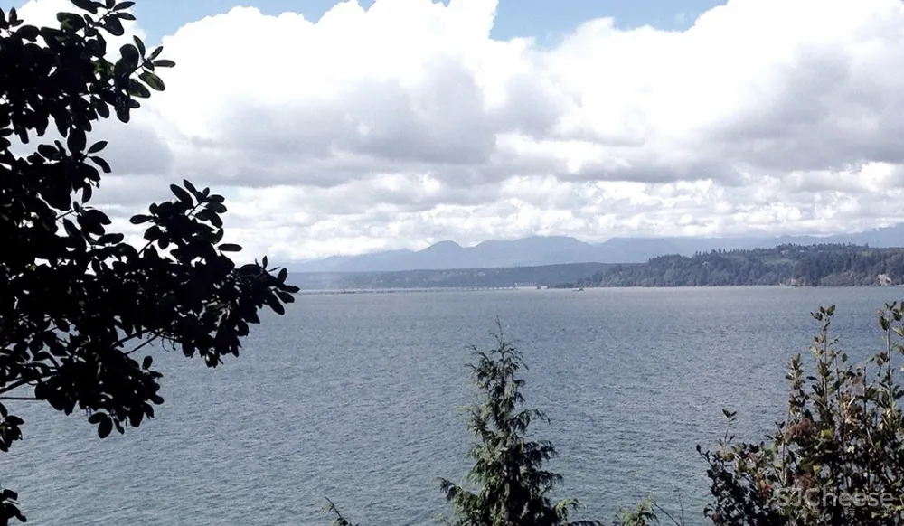 这才是真正的隐居生活