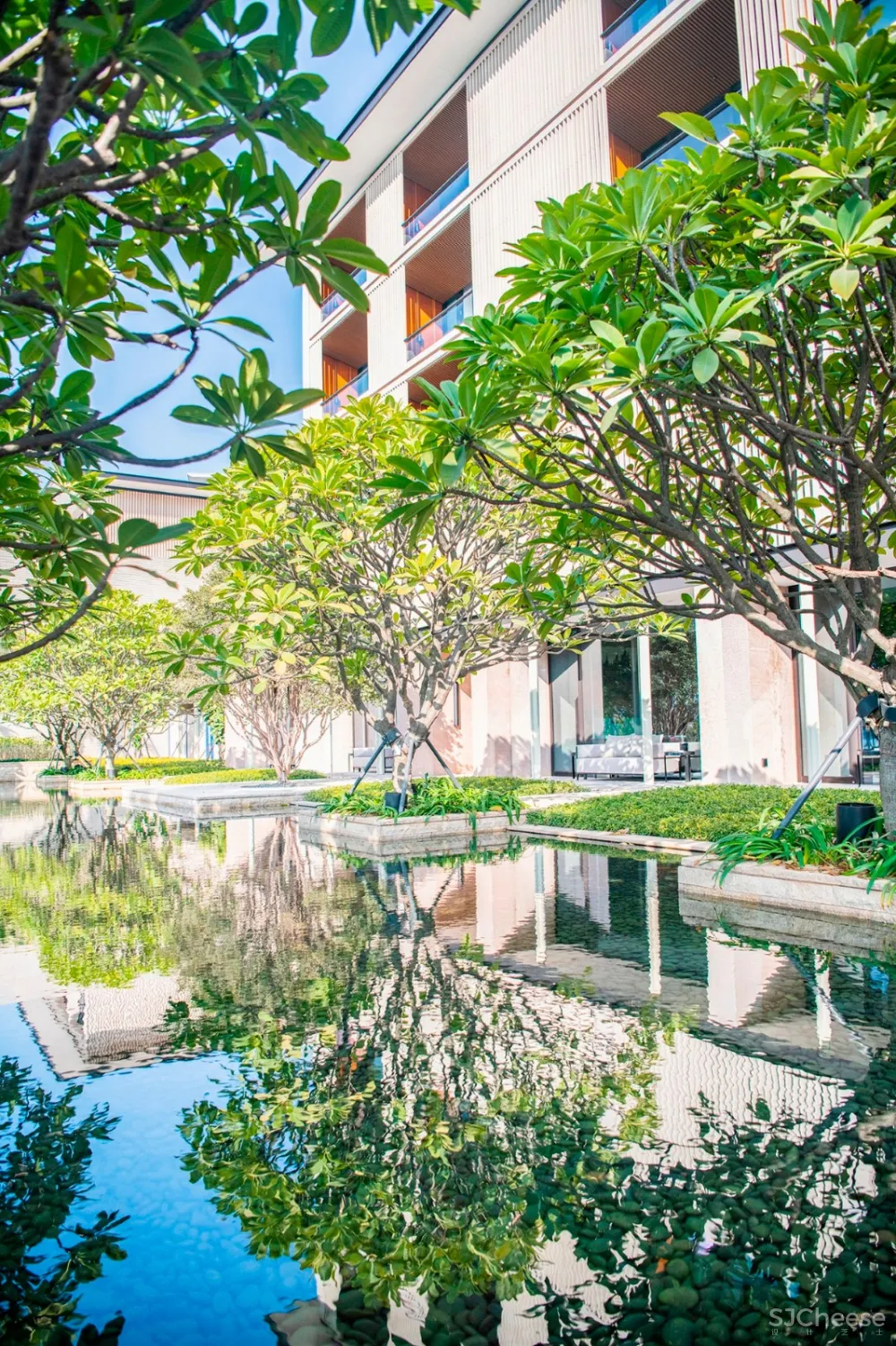 入住璞尚酒店/我终于体验到了真正的都会桃源/还打卡了厦门醉美日落