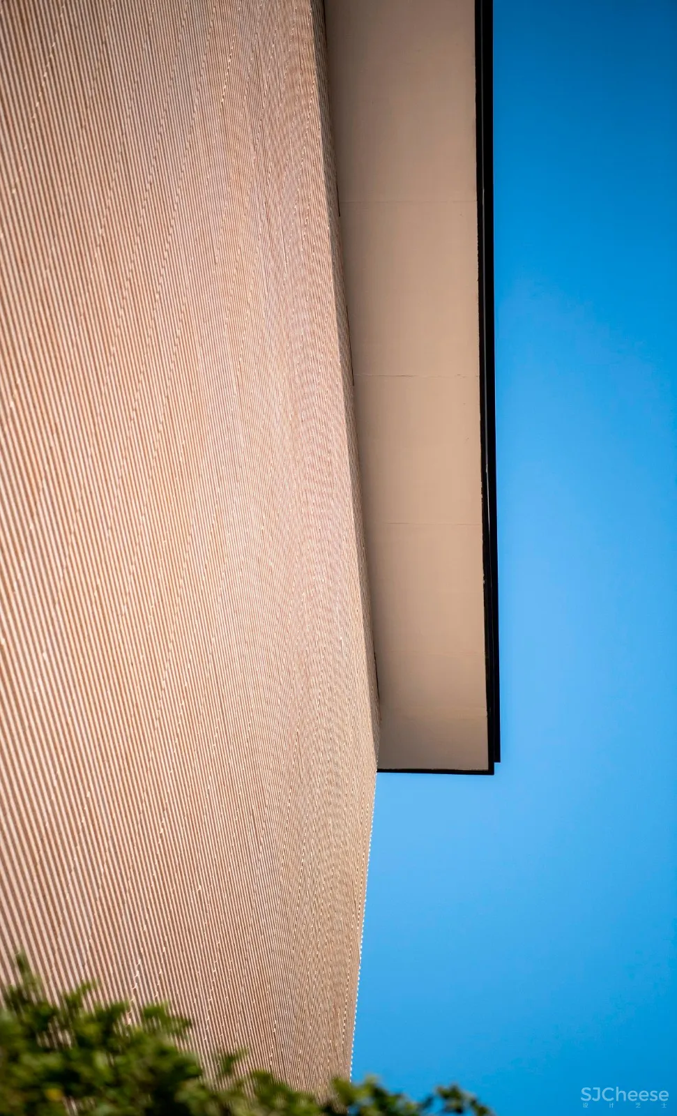 入住璞尚酒店/我终于体验到了真正的都会桃源/还打卡了厦门醉美日落