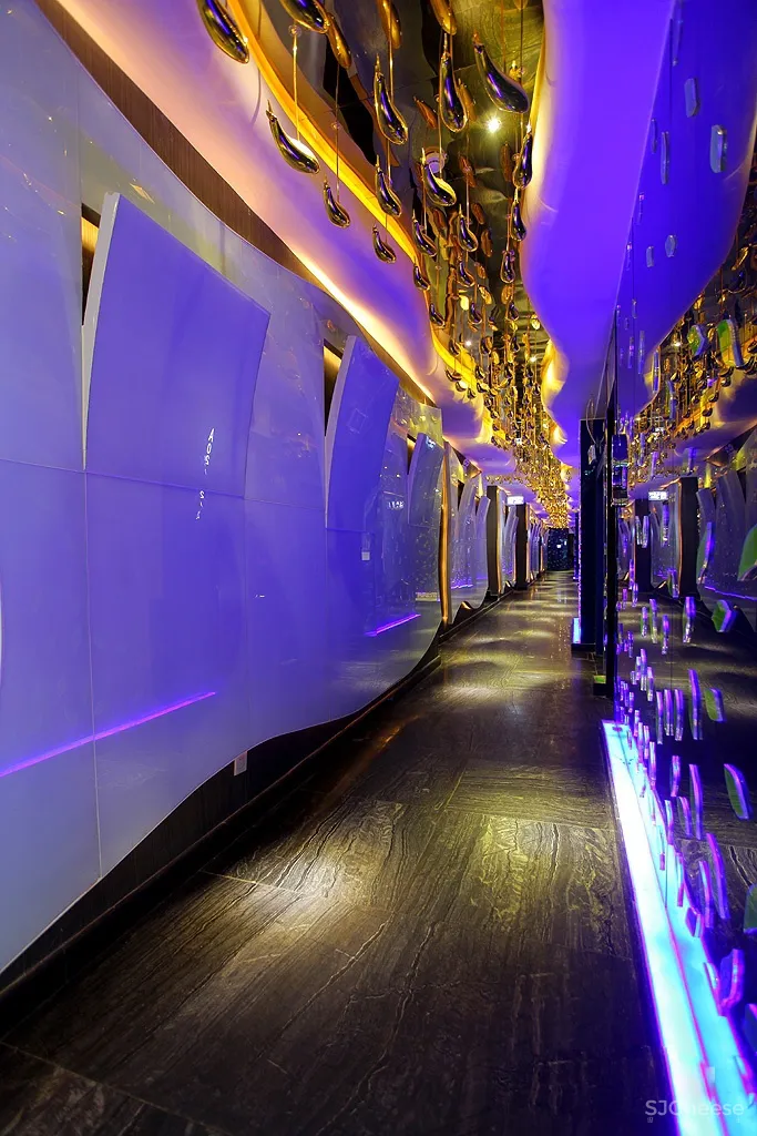 歌库海洋主题量贩KTV 辛军作品