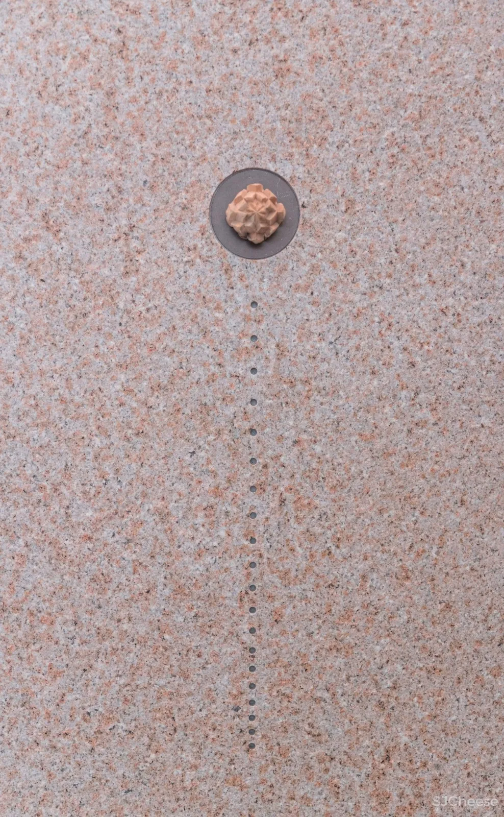 入住璞尚酒店/我终于体验到了真正的都会桃源/还打卡了厦门醉美日落