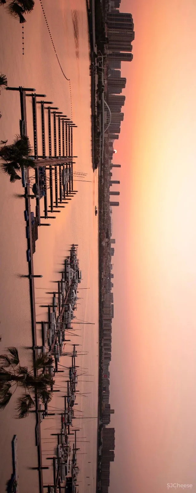 入住璞尚酒店/我终于体验到了真正的都会桃源/还打卡了厦门醉美日落