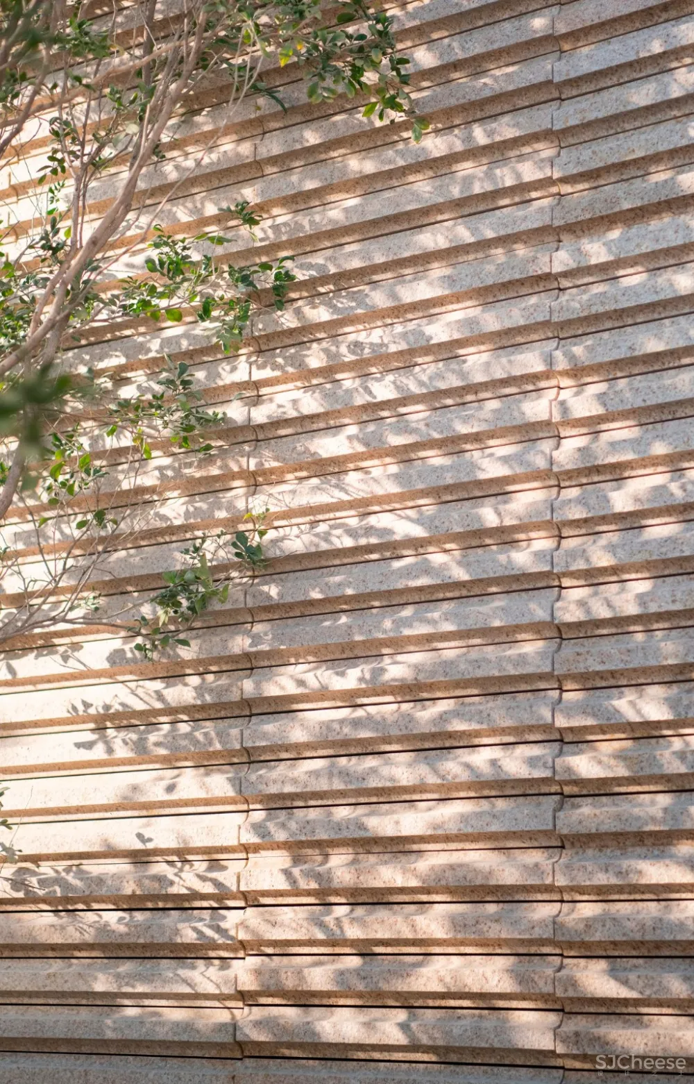 入住璞尚酒店/我终于体验到了真正的都会桃源/还打卡了厦门醉美日落