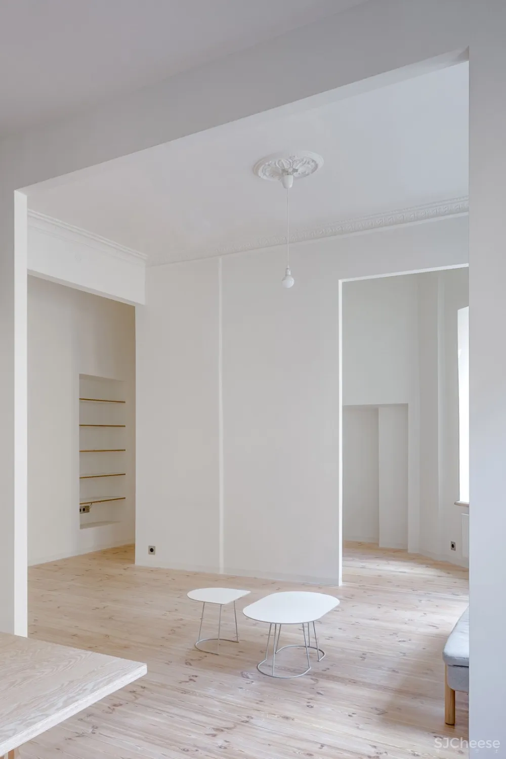 最新 | SA studio 华丽的天花板纹饰:翻修维尔纽斯19世纪公寓