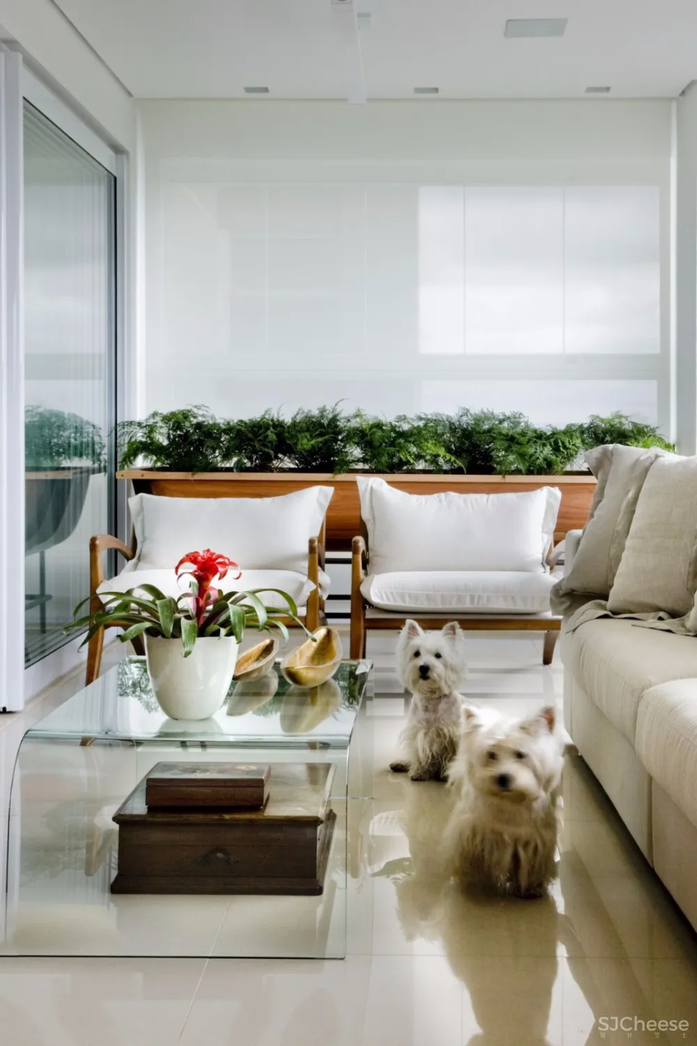 Leo Romano | 美学是通向幸福的道路