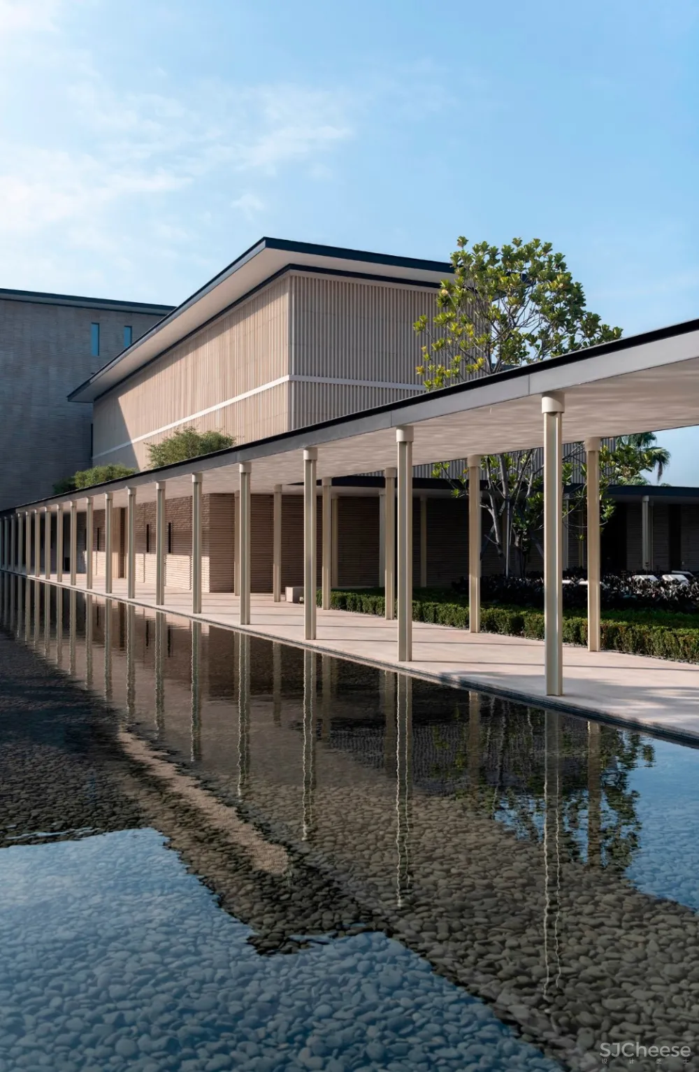 入住璞尚酒店/我终于体验到了真正的都会桃源/还打卡了厦门醉美日落