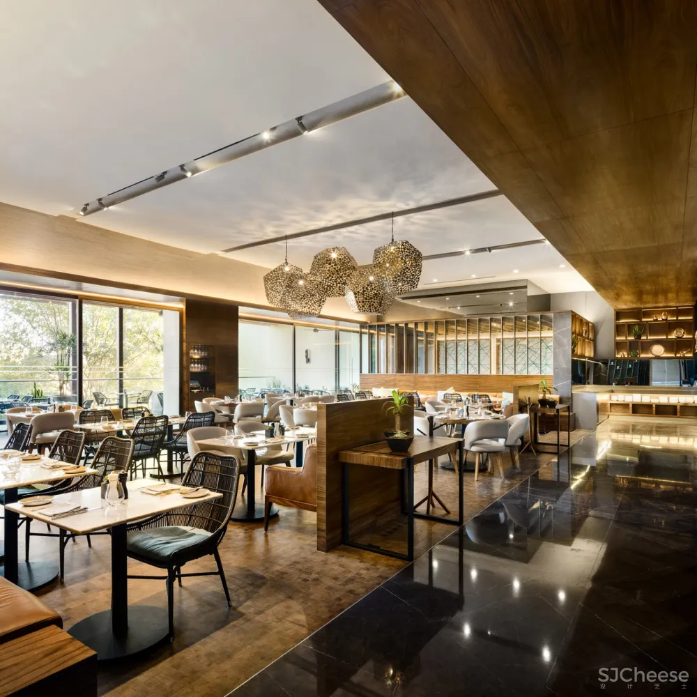 Andares凯悦酒店及公寓塔楼，墨西哥 / Sordo Madaleno Arquitectos 首