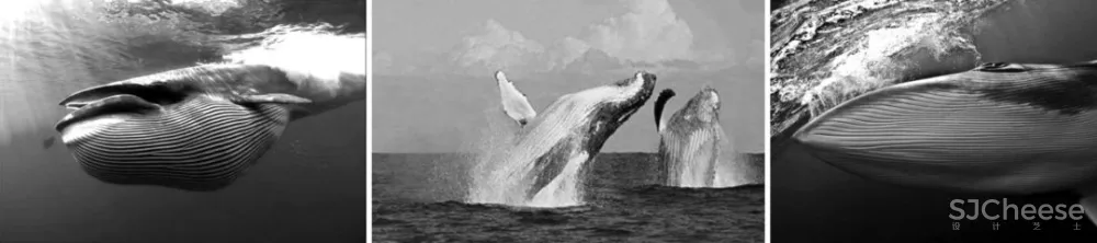 CUN寸DESIGN新作|望京万科时代中心的“望鲸”