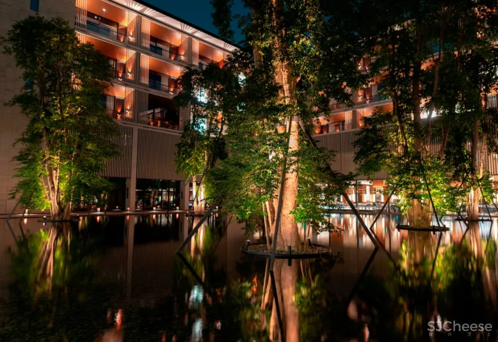 入住璞尚酒店/我终于体验到了真正的都会桃源/还打卡了厦门醉美日落