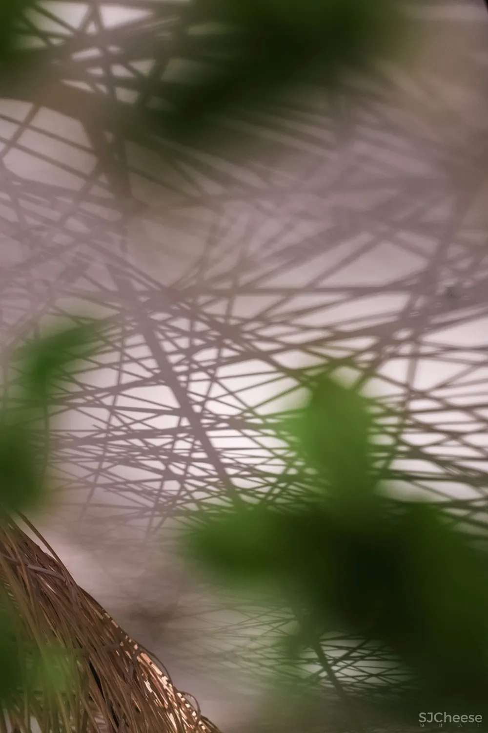 清风恰几许丨竹影入画来