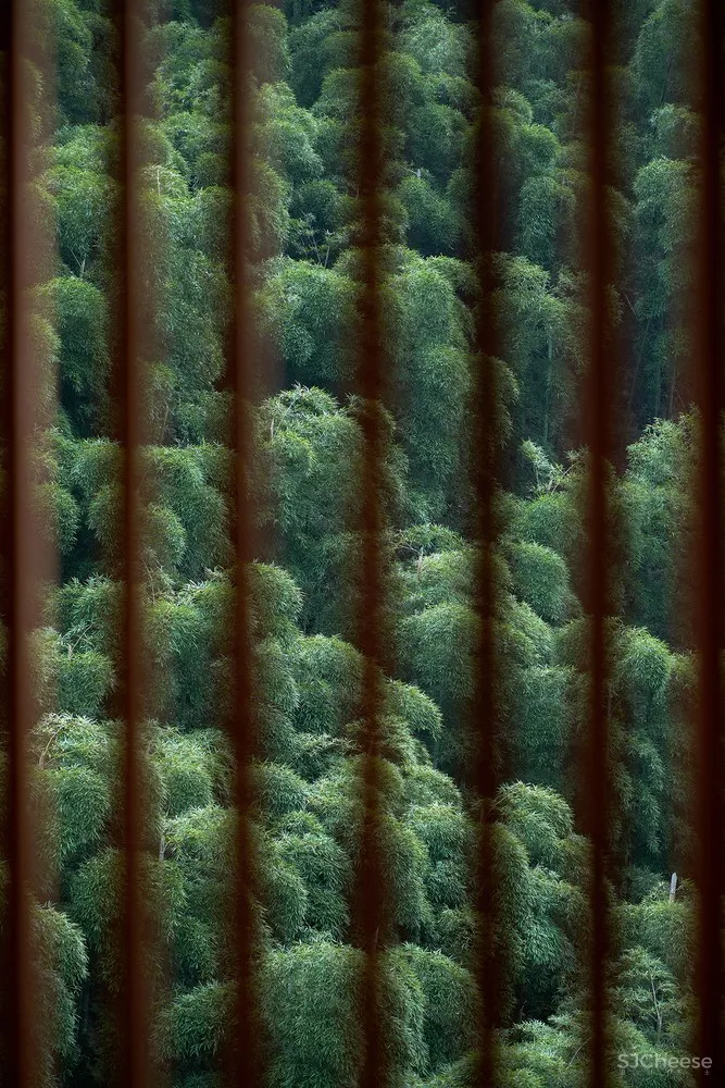 安吉尔庐度假酒店 / 中国美术学院风景建筑设计研究总院