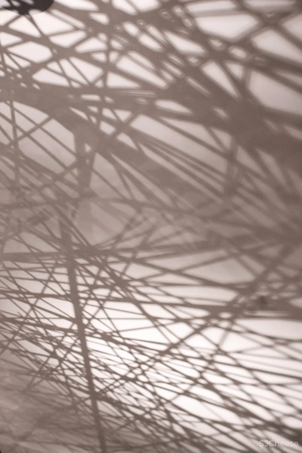 清风恰几许丨竹影入画来