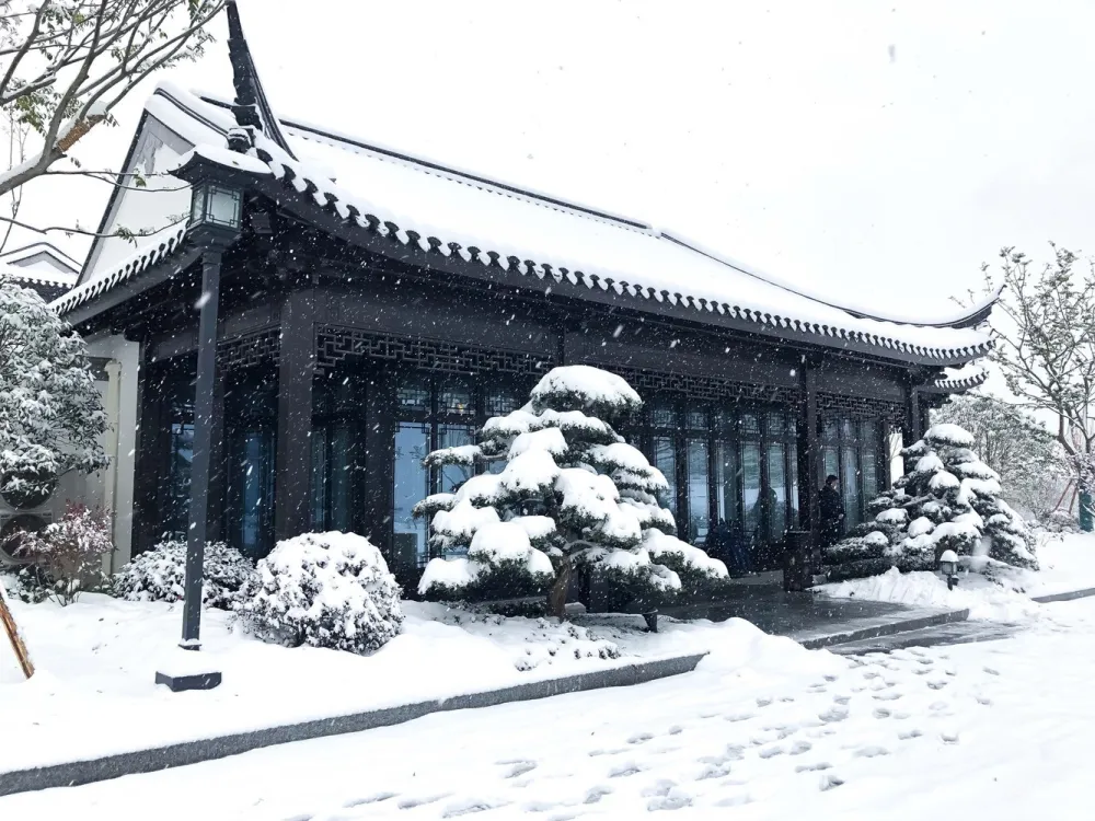 云林春风 / 浙江青墨建筑设计 + 悉地(北京)国际建筑设计
