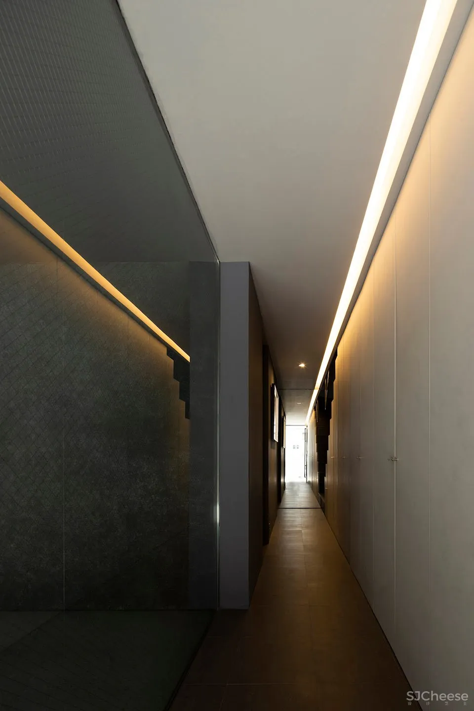 TRANE住宅,东京 / APOLLO