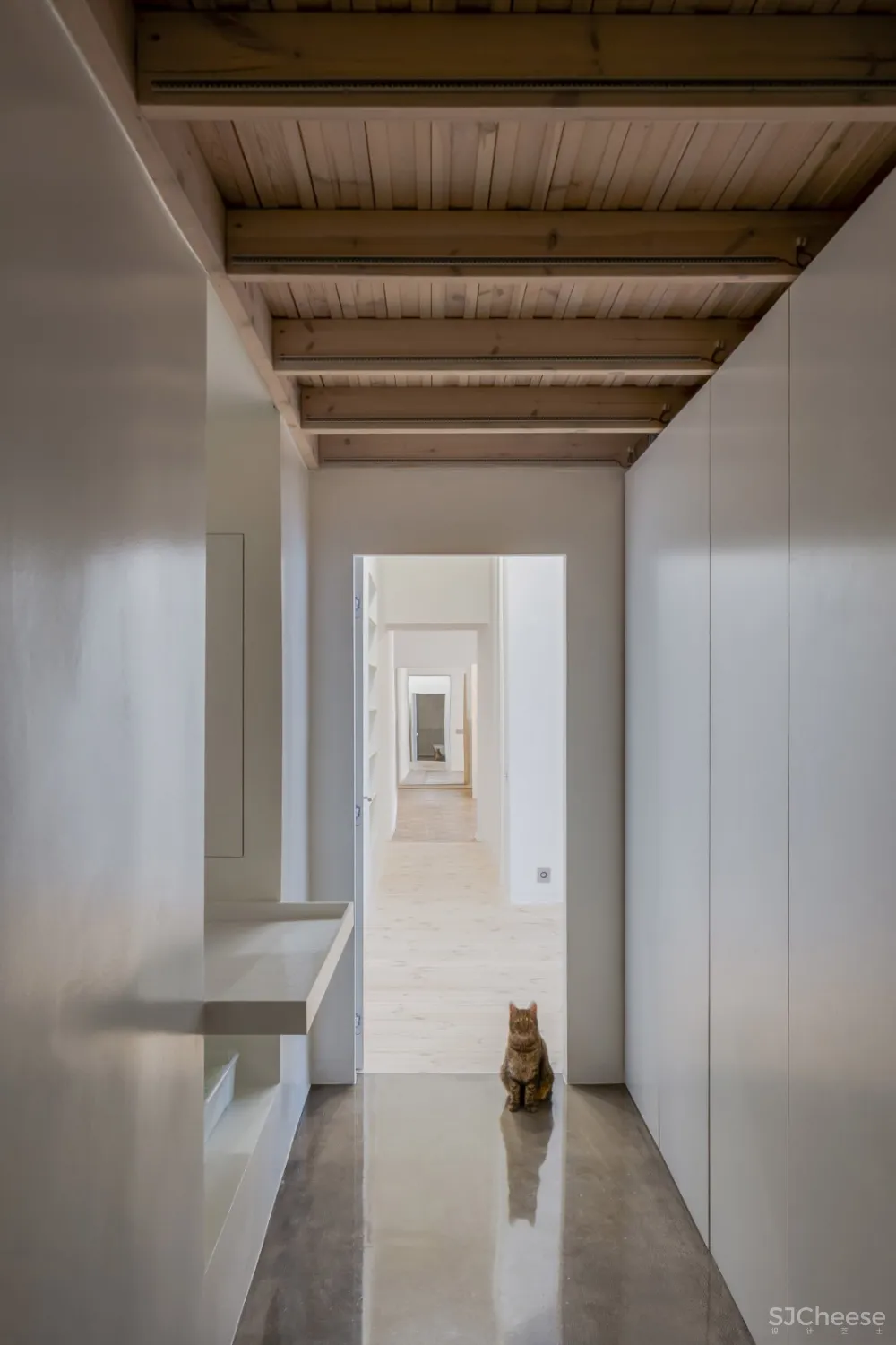 最新 | SA studio 华丽的天花板纹饰:翻修维尔纽斯19世纪公寓