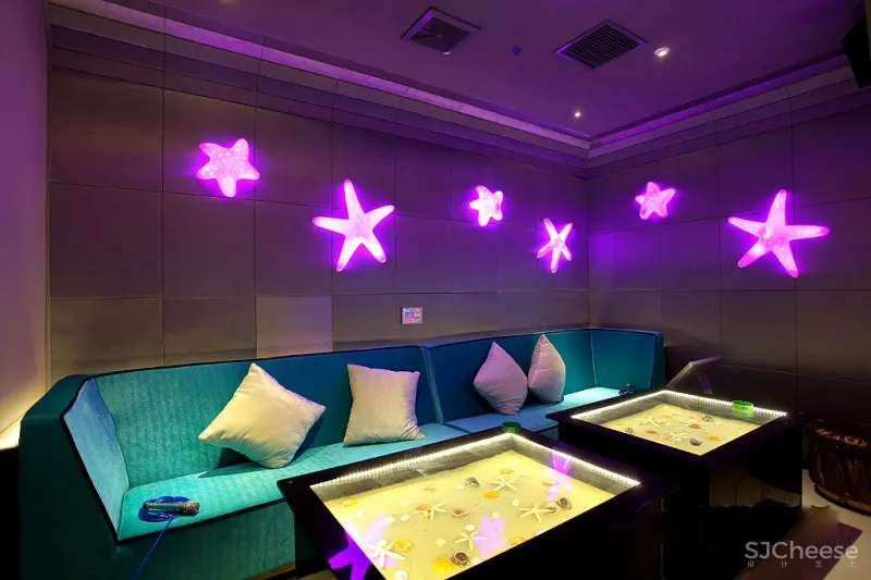 歌库海洋主题量贩KTV 辛军作品