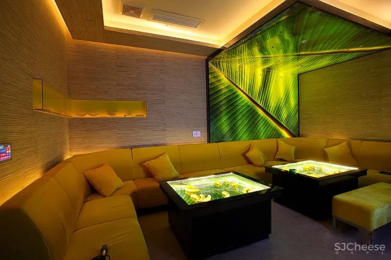 歌库海洋主题量贩KTV 辛军作品