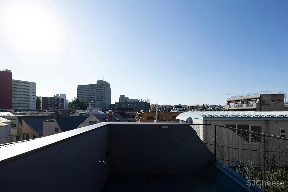 TRANE住宅,东京 / APOLLO