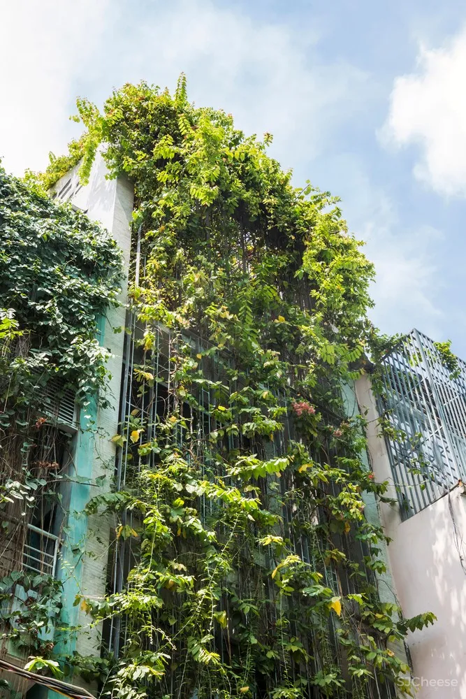 呼吸住宅 / 武重义建筑事务所