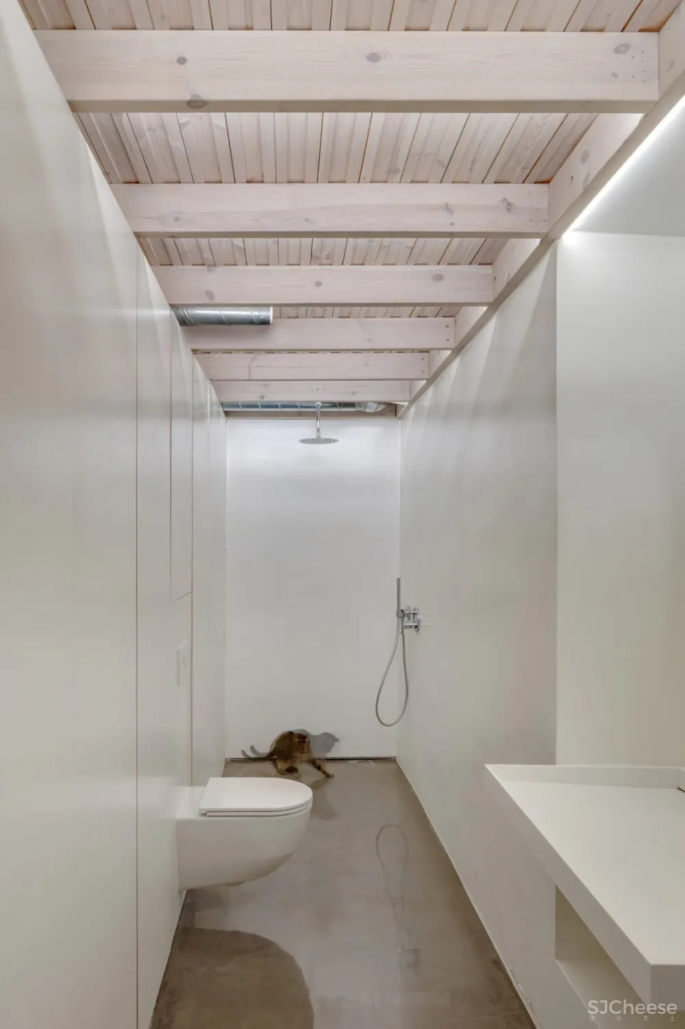 最新 | SA studio 华丽的天花板纹饰:翻修维尔纽斯19世纪公寓