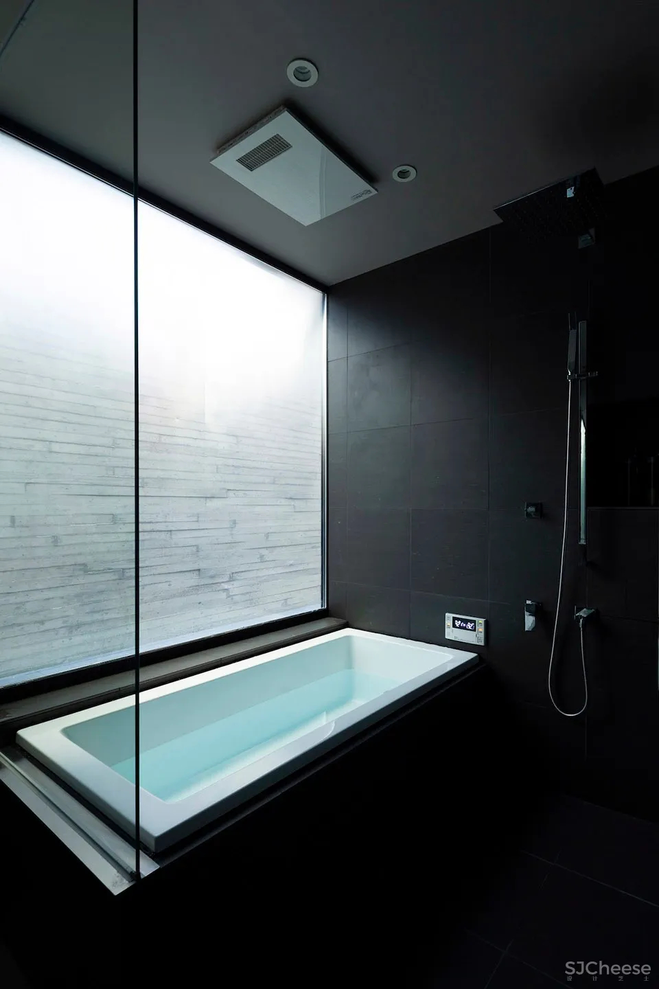 TRANE住宅,东京 / APOLLO