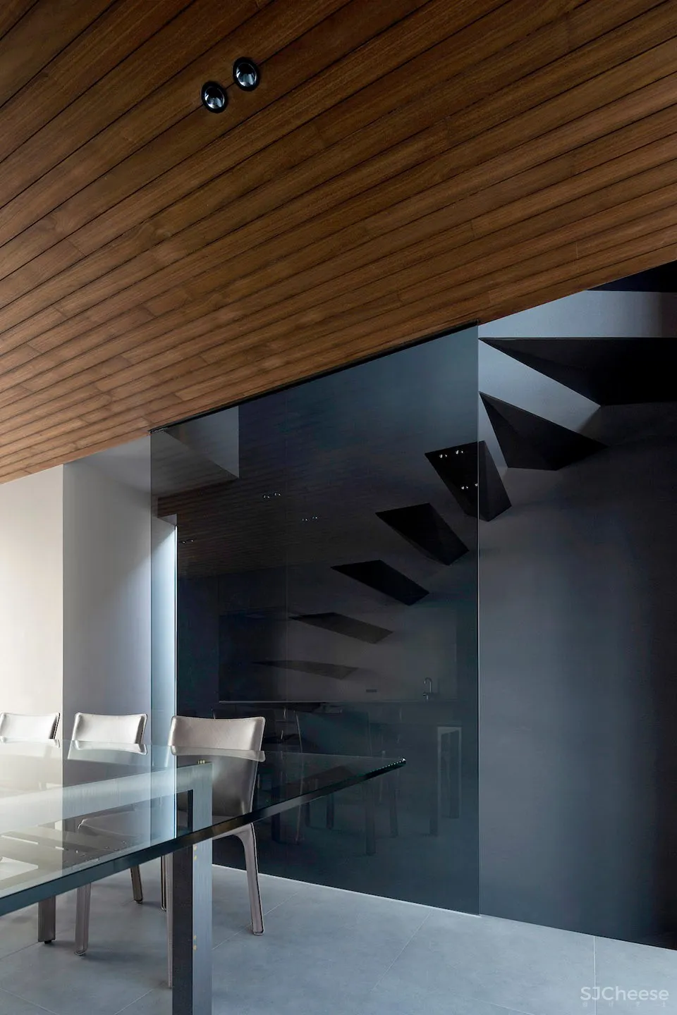 TRANE住宅,东京 / APOLLO