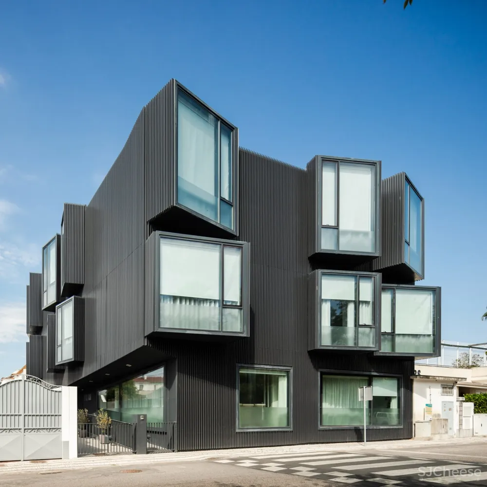 Santa Casa da Misericórdia老年人护理中心，葡萄牙 / Nuno Piedade Alexandre